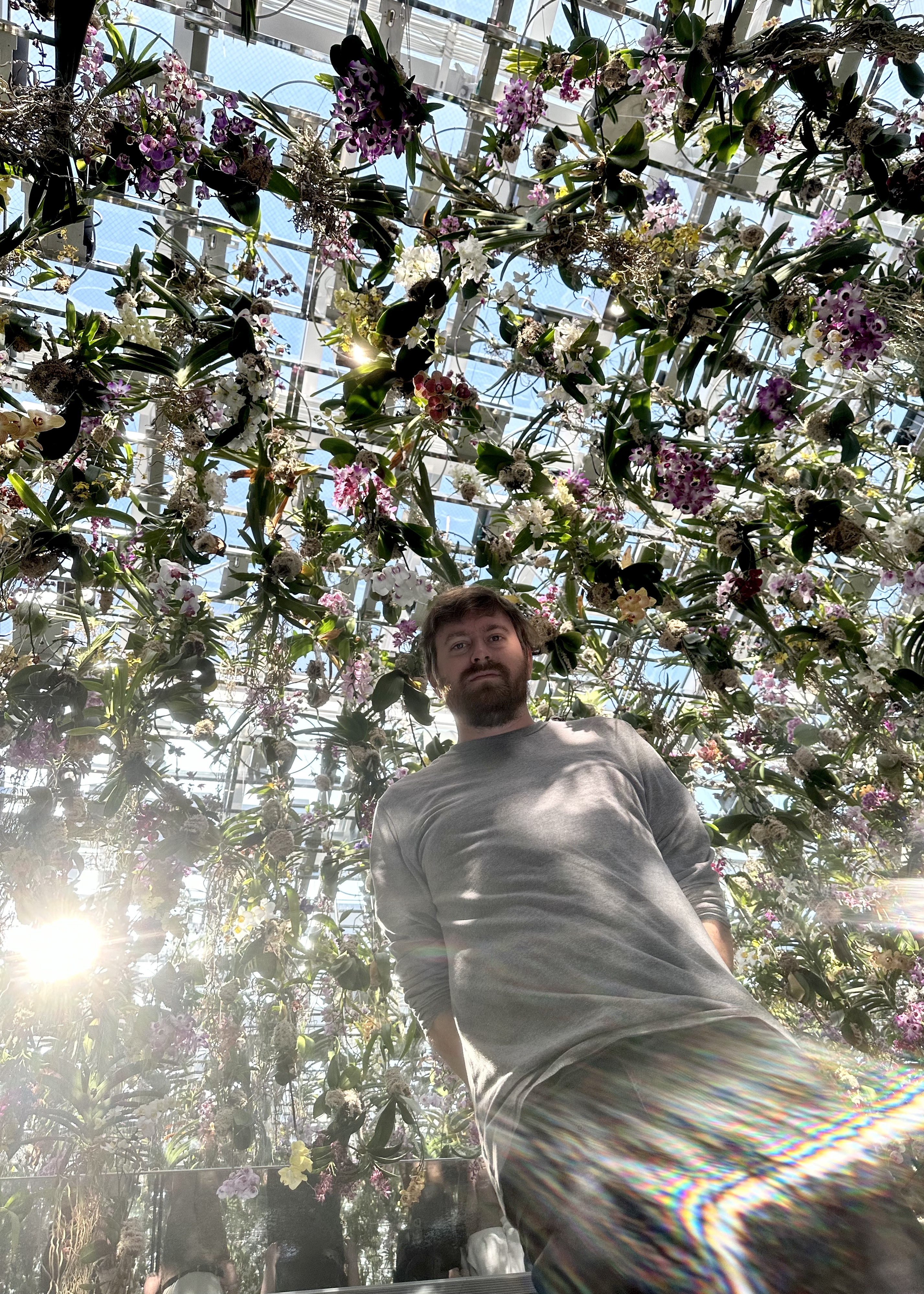 Color photo of a man standing over the camera with hanging orchids behind with a light flare
